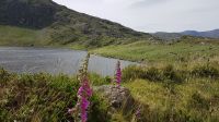 Ring of Kerry