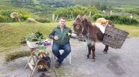 Ring of Kerry