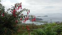 Ring of Kerry