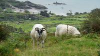 Ring of Kerry