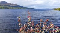 Ross Island