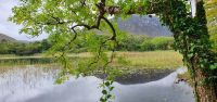 See an der Kylemore Abbey 