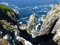 Sheeps Head