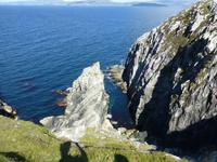 Sheeps Head