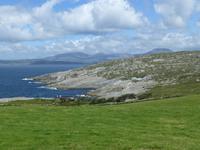 Sheeps Head