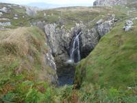 Sheeps Head