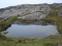 Sheeps Head