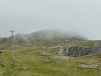 Sheeps Head
