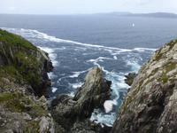 Sheeps Head