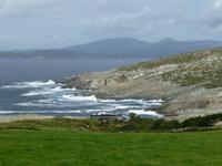 Sheeps Head