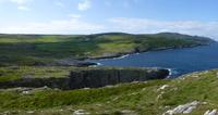 Sheeps Head