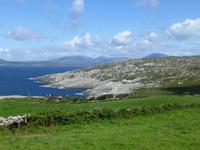 Sheeps Head