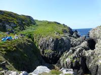 Sheeps Head