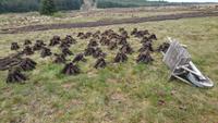 So wird Torf angetrocknet