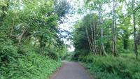 Spaziergang rund um Ross Castle