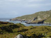 Tag 6 Bere Island 1