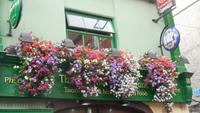 Temple Bar