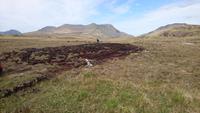 Torffeld in Connemara