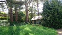 Unterwegs im Muckross Park
