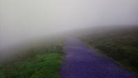 Valentia island (6)