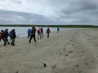 Ventry Harbour