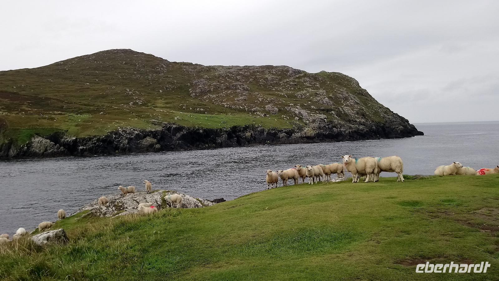 beara halbinsel