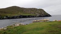 beara halbinsel
