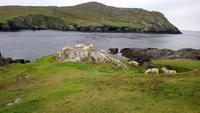 beara halbinsel