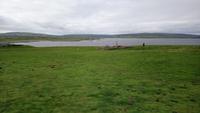 downpatrickhead (9)