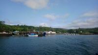 glengariff (4)