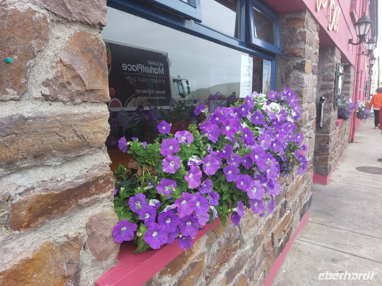 irische Blumen
