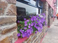 irische Blumen