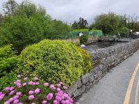 irische Idylle