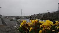 ropearedebridge (7)