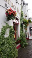 sligo