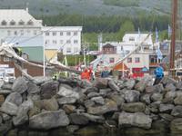 16.06.2016: Husavik - Walbeobachtungstour