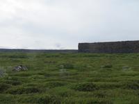 16.06.2016: Wanderung auf der Halbinsel Tjörnes zur hufeisenförmigen Schlucht Asbyrgi