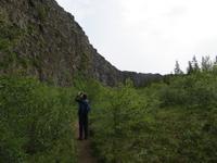 16.06.2016: Wanderung auf der Halbinsel Tjörnes zur hufeisenförmigen Schlucht Asbyrgi