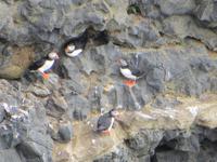 17.06.2016: Wanderung bei Raudanes