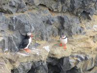 17.06.2016: Wanderung bei Raudanes