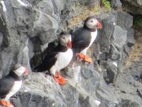 17.06.2016: Wanderung bei Raudanes