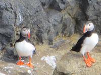 17.06.2016: Wanderung bei Raudanes