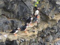 17.06.2016: Wanderung bei Raudanes