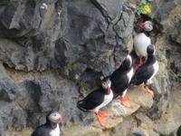 17.06.2016: Wanderung bei Raudanes