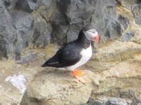 17.06.2016: Wanderung bei Raudanes