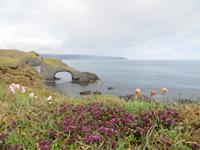 17.06.2016: Wanderung bei Raudanes