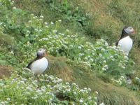 17.06.2016: Wanderung bei Raudanes