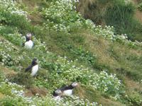 17.06.2016: Wanderung bei Raudanes