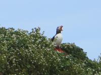 17.06.2016: Wanderung bei Raudanes