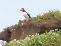 17.06.2016: Wanderung bei Raudanes